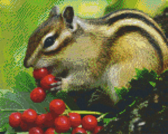 Squirrel Nine [9] Baseplate PixelHobby Mini-mosaic Art Kit